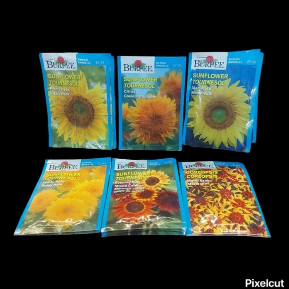 Flower Seeds Choose 10 for $20.00 - Picture 7 of 10